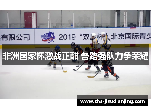 非洲国家杯激战正酣 各路强队力争荣耀